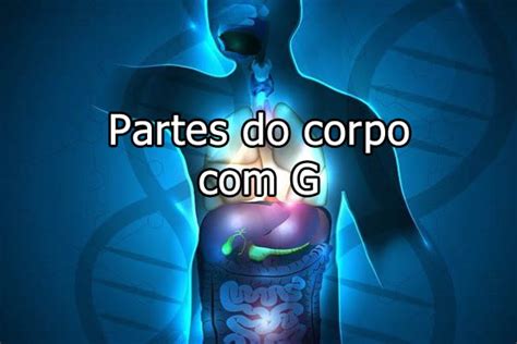 Parte Do Corpo Com A Letra G - Partes do Corpo com G