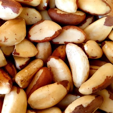 Castanha É Proteína Ou Carboidrato - Castanha do Pará