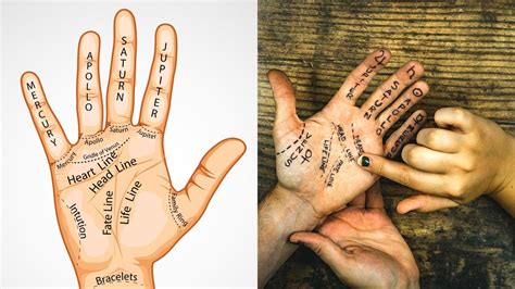 palmistry shape   hands reveal  personality traits boldskycom