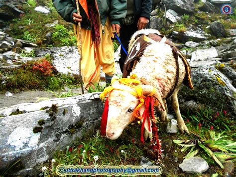Photo Nanda Devi Raj Jat Yatra