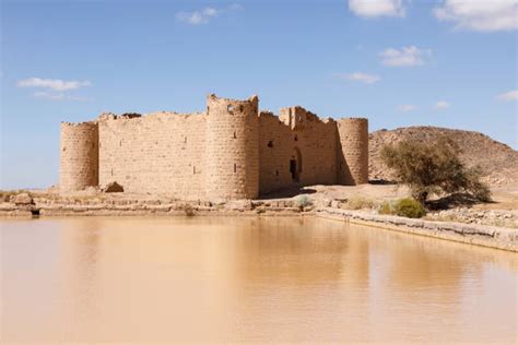 830+ Tabuk Saudi Arabia Photos Stock Photos, Pictures & Royalty-Free ...