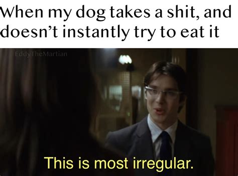 My dog is hungry! : r/NolanBatmanMemes