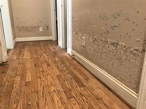 Water Mitigation And Restoration | South Florida | JASD, Inc