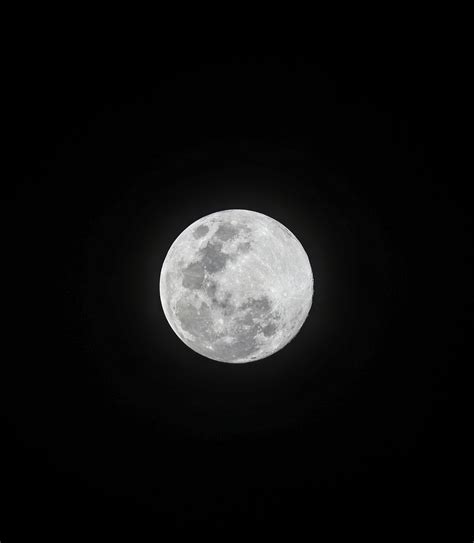 Full+Bush+Lesbian Photos, Download The BEST Free Full+Bush+Lesbian