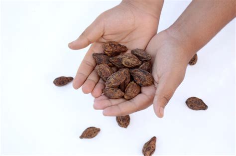 harad billeder gennemse  stockfotos vektorer og videoer adobe stock