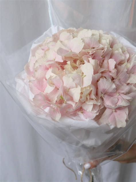 Сладкая вата - купить в СПБ с доставкой в Kraft Flowers