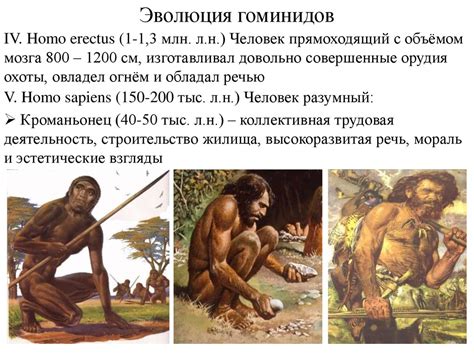 Происхождение человека и становление общества - online presentation