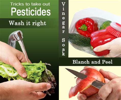 Pesticides removal process-Fruits and Veggies | Fruits Facts