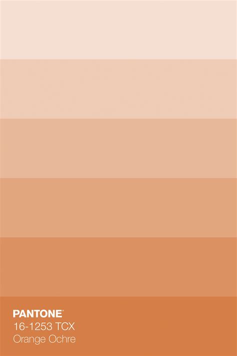 ochre color pronunciation 5