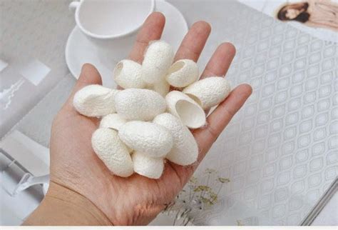 What is Cocoon Skin Treatment?
