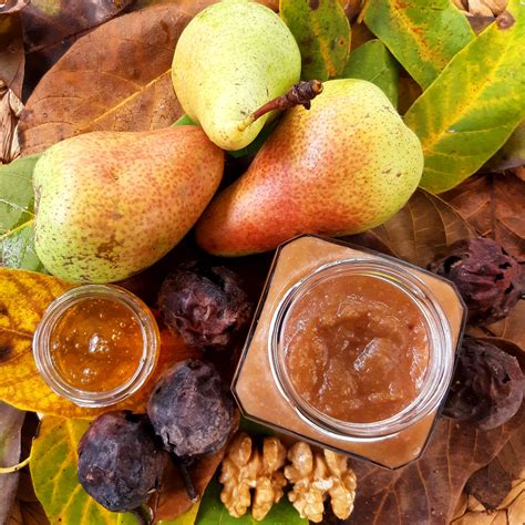 Preparati Vegetali Contro I Parassiti Di Orto E Frutteto