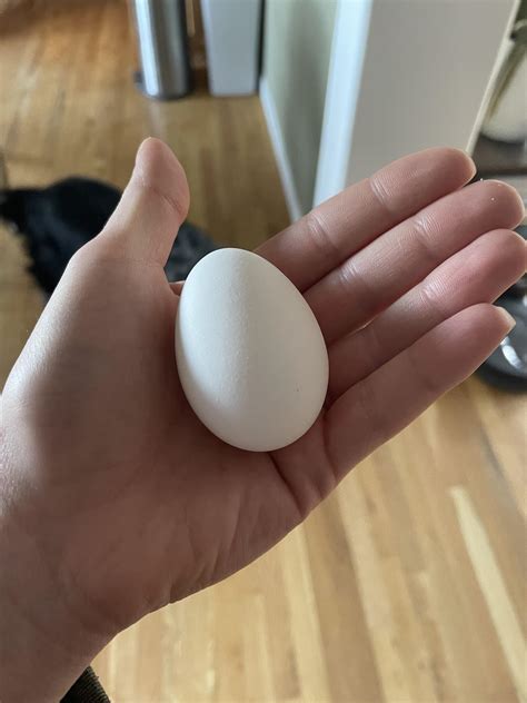 Might not make anyone else smile. But as a first time chicken owner