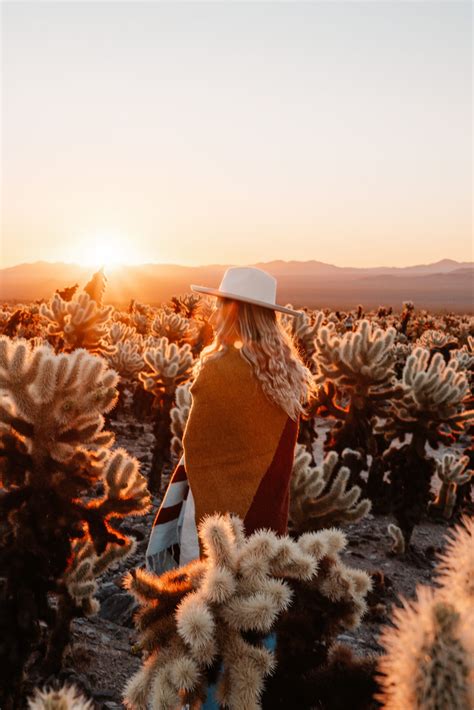 places to stay at joshua tree 5