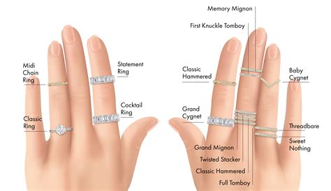 Ring Stacking Guide at Tamara Hall blog