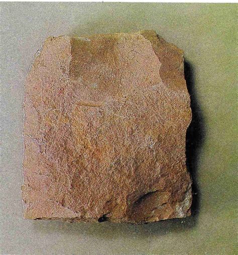 A la palestra : ROCA SEDIMENTARIA DETRÍTICA - ARENISCA