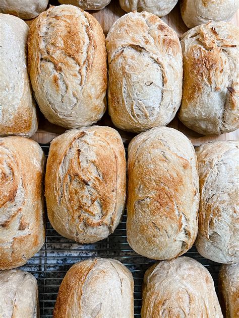 Sourdough Bread – Berkeley Farm