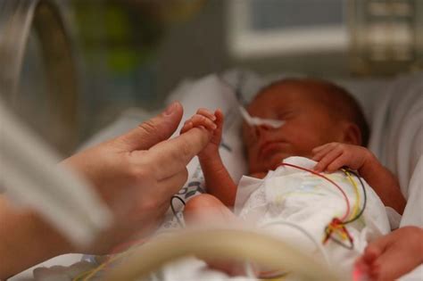 reality   nicu artofit