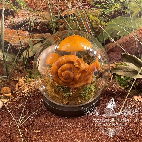 Scales & Tails Creations by Courtney Jarrell