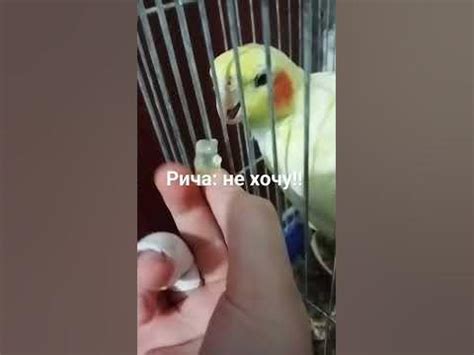 мини вкусняшки - YouTube