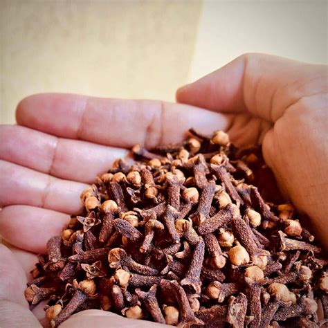 clove buds dried syzygium aromaticum quality ceylon  spice organic