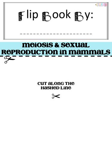 Meiosis & Mammal Reproduction Revision and Task Fill Flip Book (AS ...