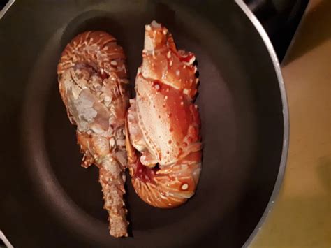 Langouste grillée