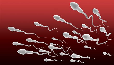 IUI: Why Artificial Insemination Usually Fails | Your IVF Journey