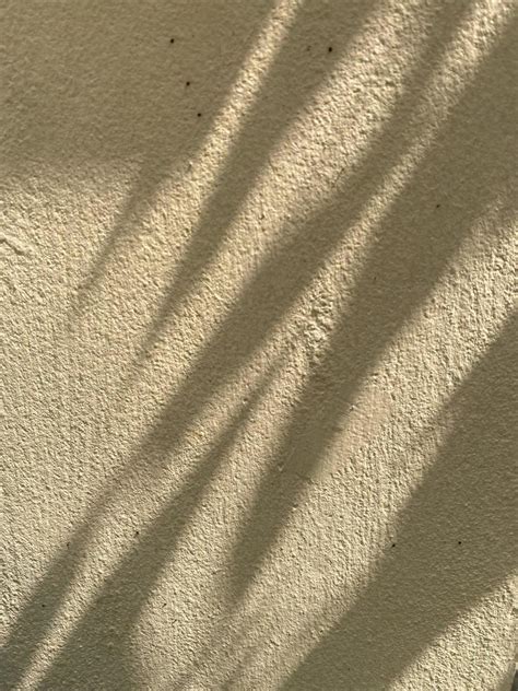 shade background stock  images  backgrounds