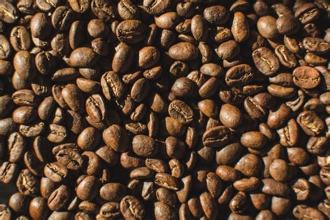 images ingredient kona coffee single origin coffee jamaican