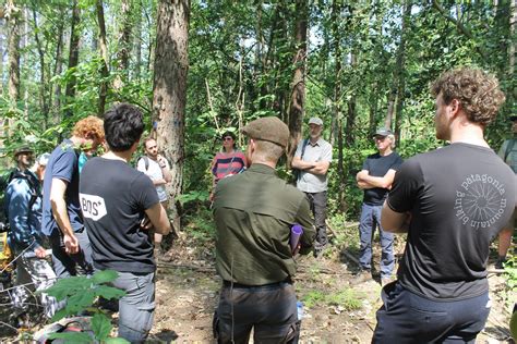Verslag Pro Silva excursie Brionbos 05/06/2023 - BOS+