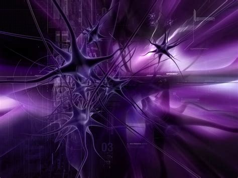 animated desktop wallpapers wallpapersafari