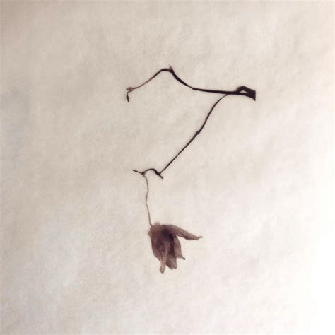 Diarios de encierro | Laura Romero