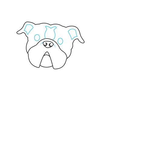 How to Draw A Bulldog Step by Step
