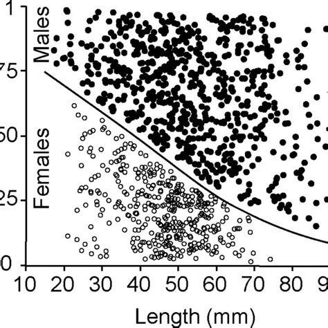 (A) Relationship between standard length and egg mass in female ...