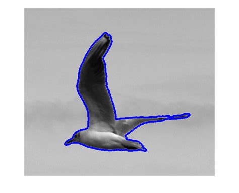 segmentation   image   single object  matlab stack overflow