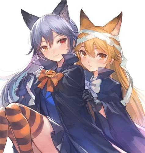 Red and Silver Fox On Halloween : r/KemonoFriends