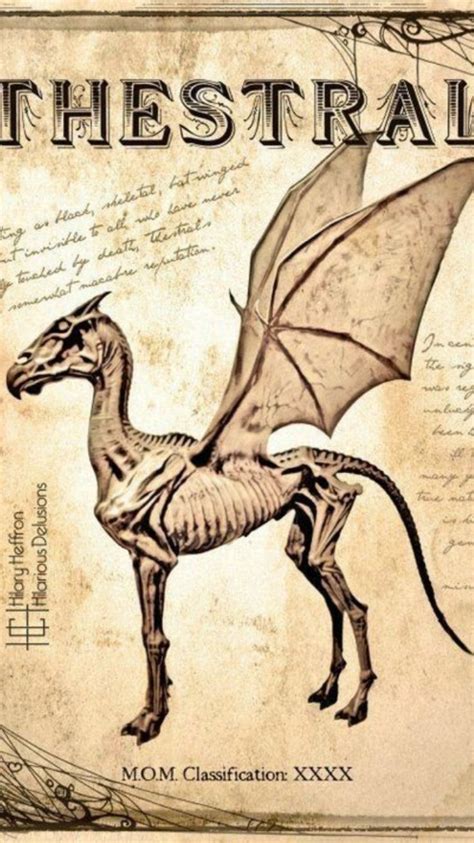 harry potter | Harry potter poster, Harry potter drawings, Harry potter ...