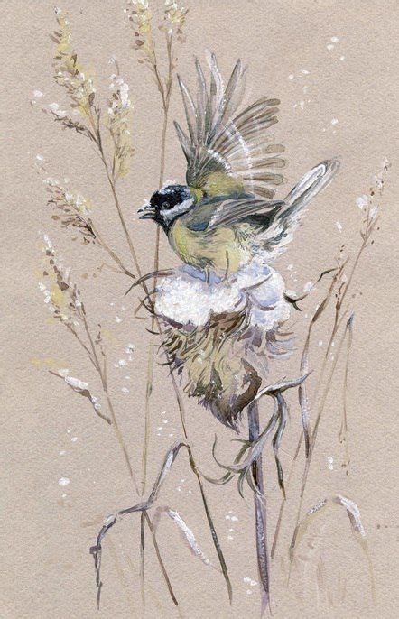 Новости | Dipinti di animali, Disegni di uccelli, Arte con uccelli