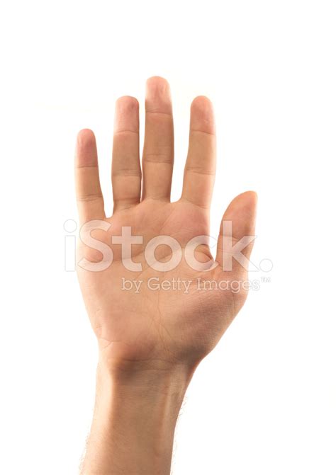 open hand stock photo royalty  images freeimages