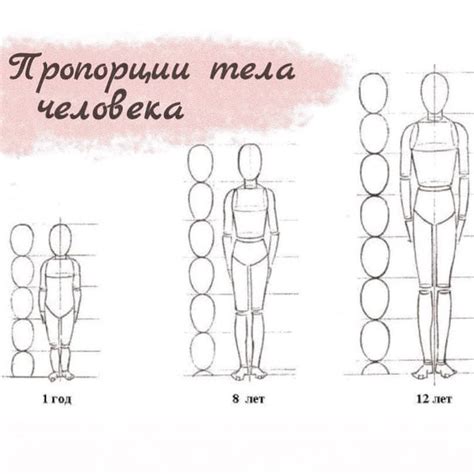 Куклы🥀Лилии Амелиной🥀dolls on Instagram: "Пропорции тела человека ...