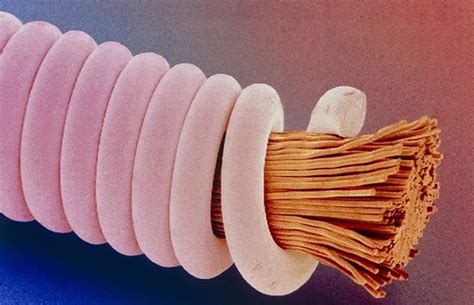 Microscopic photo of a guitar string – Trip Hop Nation
