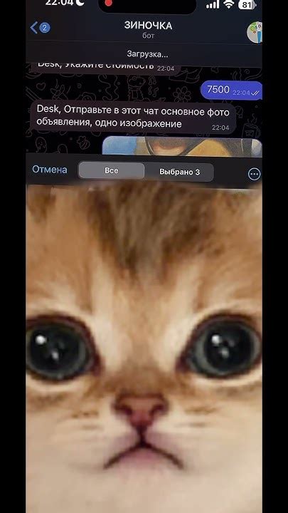 Массовый постинг объявлений на Авито (Автозагрузка) #товарка #авито # ...