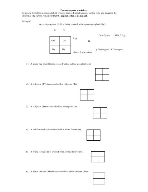 Punnett Square Worksheet