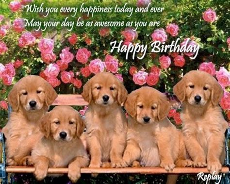 dogs singing happy birthday ecard - Piercing Account Gallery Of Images
