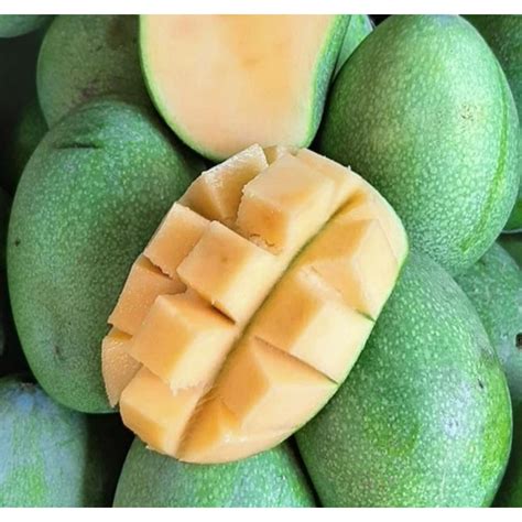 jual mangga indramayu harum manis manalagi kg shopee indonesia