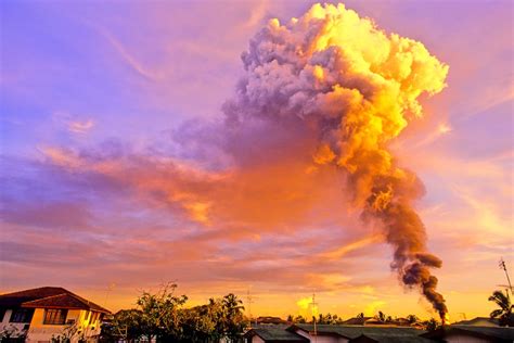 daily photo blowout richard davis photography