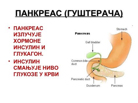 Endokrini sistem