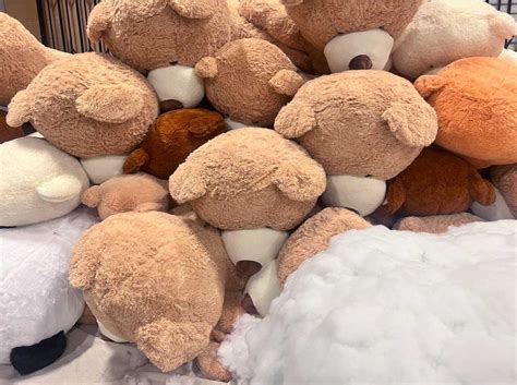 3000 Pink Rose Petals | Real Fresh | $100 | Boo Bear Factory