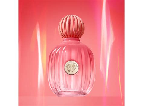 Ripley - PERFUME ANTONIO BANDERAS THE ICON SPLENDID MUJER EDP 100 ML