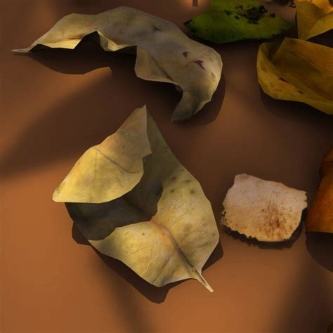 Опавшие листья 3D Модель $39 - .obj .max .fbx - Free3D